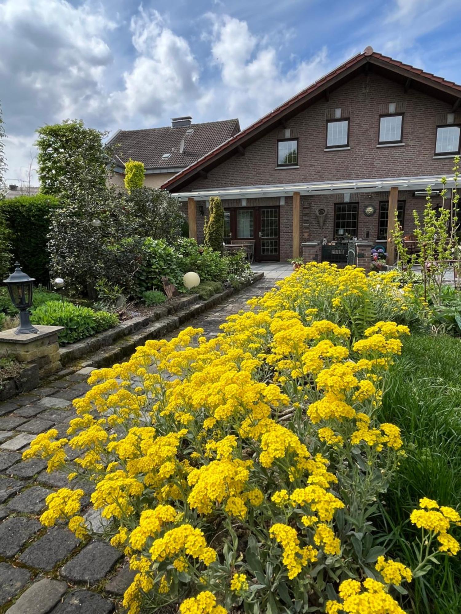 Ferienwohnung Jansen Selfkant ภายนอก รูปภาพ